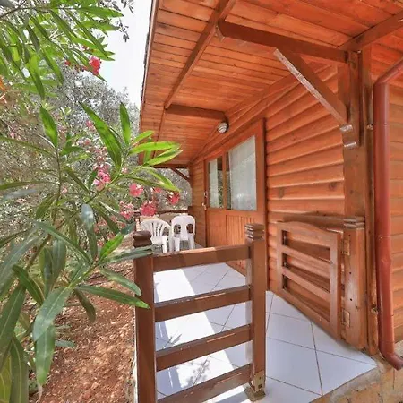 Olympos Mocamp Holiday park Kas