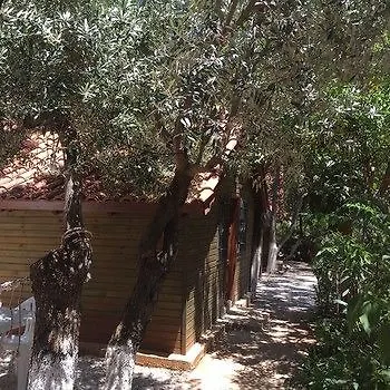 Olympos Mocamp 3* Kas