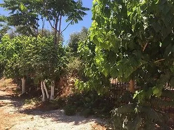 Olympos Mocamp קס
